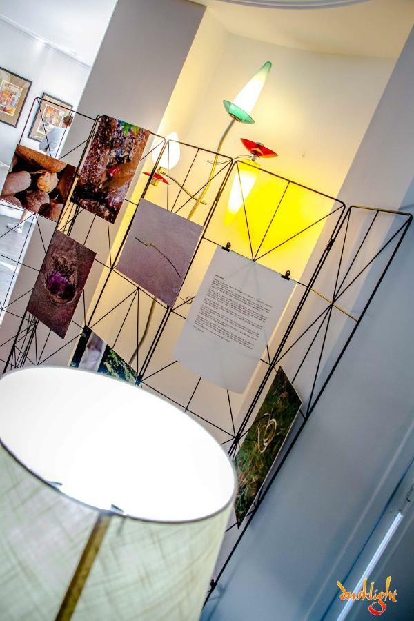 Art Home Bnb Carcassonne Exteriér fotografie